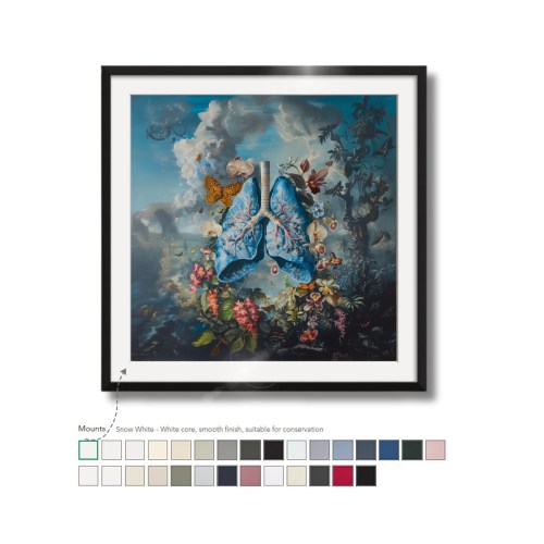 med-016_0086_disc (6).jpg